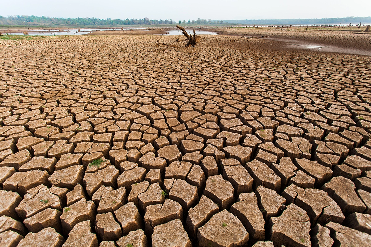 Oskrba rane - Koža in celjenje ran